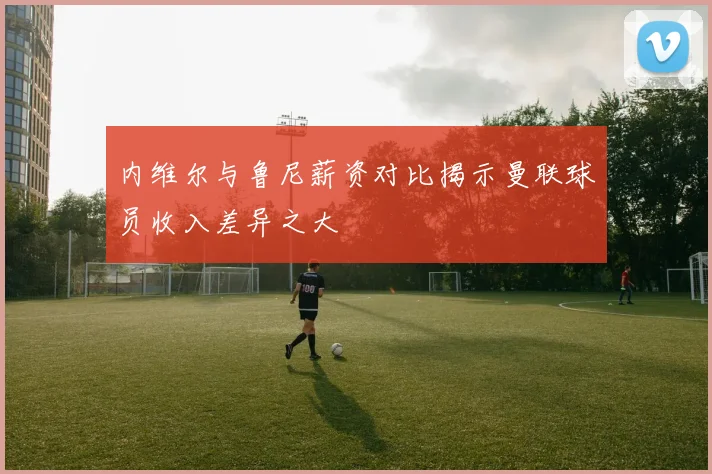 内维尔与鲁尼薪资对比揭示曼联球员收入差异之大
